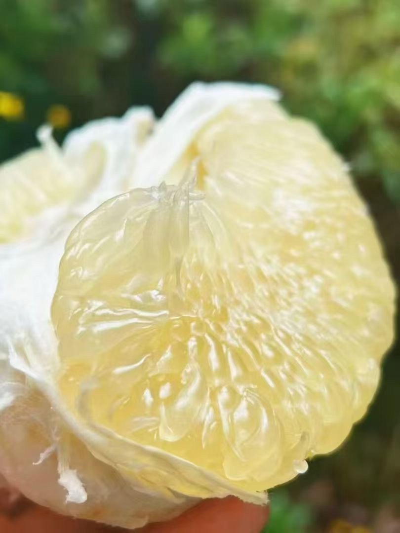 2025年评价高的云南特产经营店推荐榜，了解值得信赖的供应商